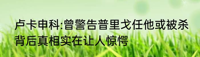 卢卡申科:曾警告普里戈任他或被杀 背后真相实在让人惊愕