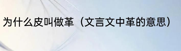 为什么皮叫做革（文言文中革的意思）