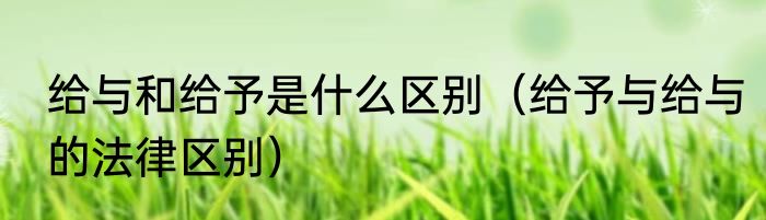 给与和给予是什么区别（给予与给与的法律区别）