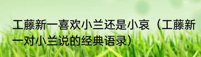 工藤新一喜欢小兰还是小哀（工藤新一对小兰说的经典语录）