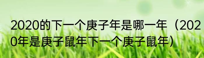 2020的下一个庚子年是哪一年（2020年是庚子鼠年下一个庚子鼠年）