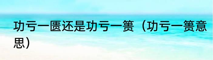 功亏一匮还是功亏一篑（功亏一篑意思）