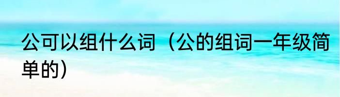 公可以组什么词（公的组词一年级简单的）