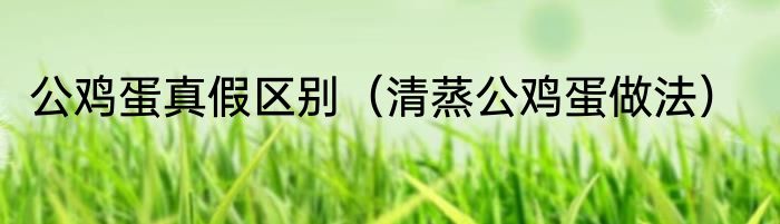 公鸡蛋真假区别（清蒸公鸡蛋做法）