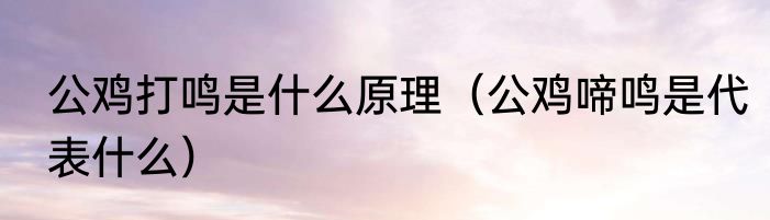 公鸡打鸣是什么原理（公鸡啼鸣是代表什么）