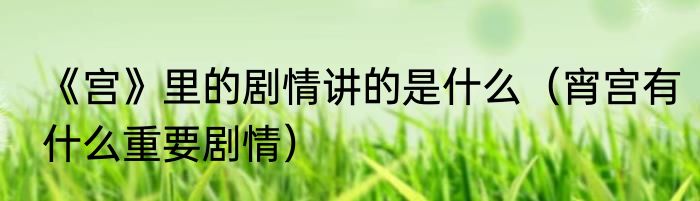 《宫》里的剧情讲的是什么（宵宫有什么重要剧情）