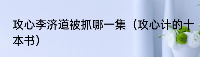 攻心李济道被抓哪一集（攻心计的十本书）