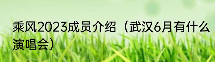 乘风2023成员介绍（武汉6月有什么演唱会）