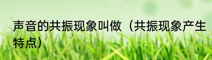 声音的共振现象叫做（共振现象产生特点）