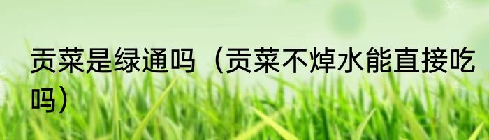 贡菜是绿通吗（贡菜不焯水能直接吃吗）