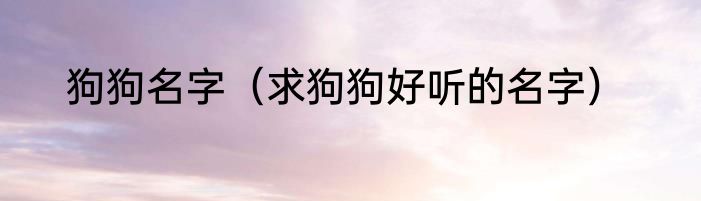 狗狗名字（求狗狗好听的名字）