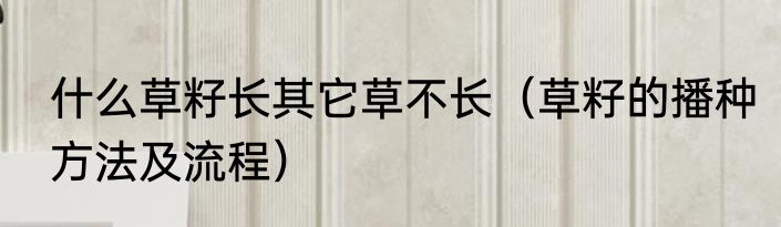 什么草籽长其它草不长（草籽的播种方法及流程）