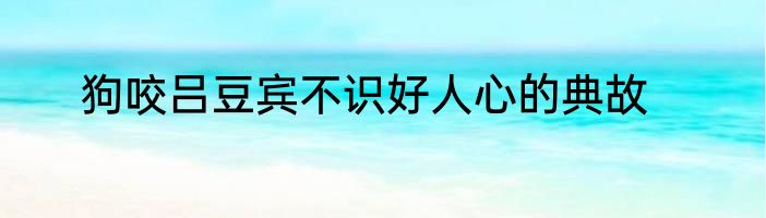 狗咬吕豆宾不识好人心的典故