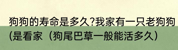 狗狗的寿命是多久?我家有一只老狗狗(是看家（狗尾巴草一般能活多久）