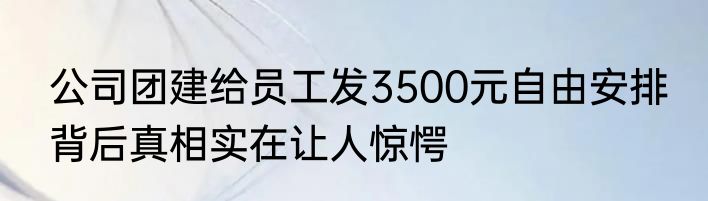 公司团建给员工发3500元自由安排 背后真相实在让人惊愕