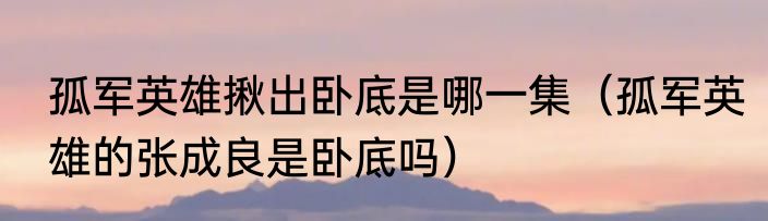 孤军英雄揪出卧底是哪一集（孤军英雄的张成良是卧底吗）