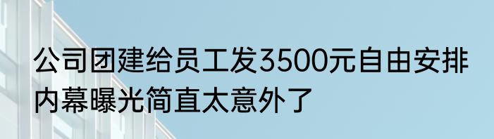 公司团建给员工发3500元自由安排 内幕曝光简直太意外了