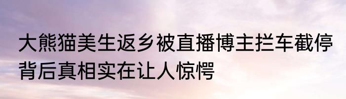 大熊猫美生返乡被直播博主拦车截停 背后真相实在让人惊愕