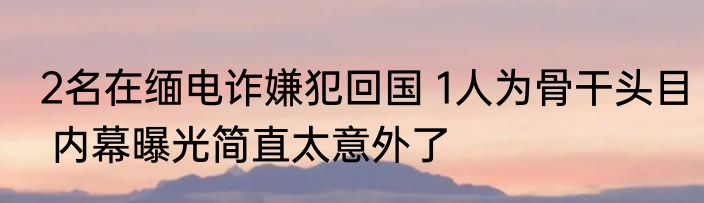 2名在缅电诈嫌犯回国 1人为骨干头目 内幕曝光简直太意外了