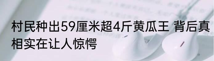 长相奇特的食物