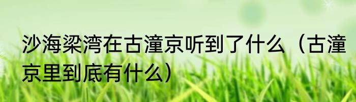 沙海梁湾在古潼京听到了什么（古潼京里到底有什么）