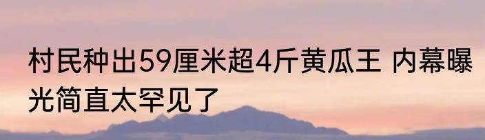 村民种出59厘米超4斤黄瓜王 内幕曝光简直太罕见了