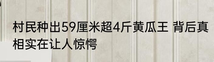 村民种出59厘米超4斤黄瓜王 背后真相实在让人惊愕