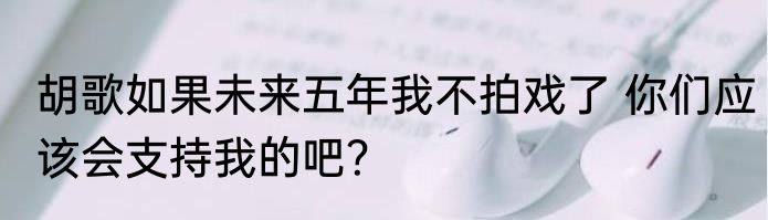 胡歌如果未来五年我不拍戏了 你们应该会支持我的吧？