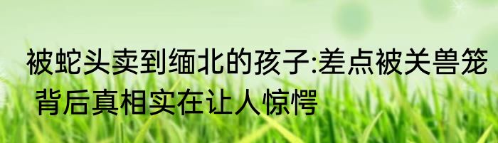 被蛇头卖到缅北的孩子:差点被关兽笼 背后真相实在让人惊愕