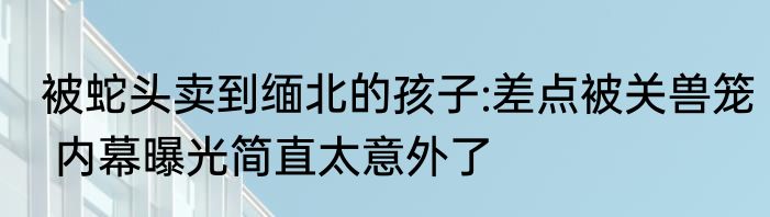 被蛇头卖到缅北的孩子:差点被关兽笼 内幕曝光简直太意外了
