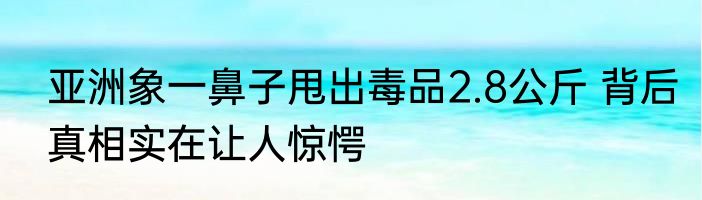 亚洲象一鼻子甩出毒品2.8公斤 背后真相实在让人惊愕