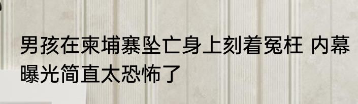 男孩在柬埔寨坠亡身上刻着冤枉 内幕曝光简直太恐怖了
