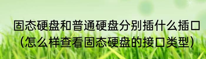 固态硬盘和普通硬盘分别插什么插口（怎么样查看固态硬盘的接口类型）