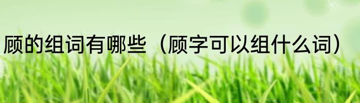 顾的组词有哪些（顾字可以组什么词）