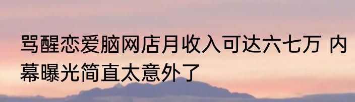骂醒恋爱脑网店月收入可达六七万 内幕曝光简直太意外了