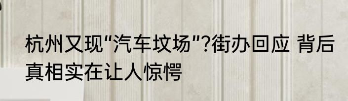 杭州又现“汽车坟场”?街办回应 背后真相实在让人惊愕