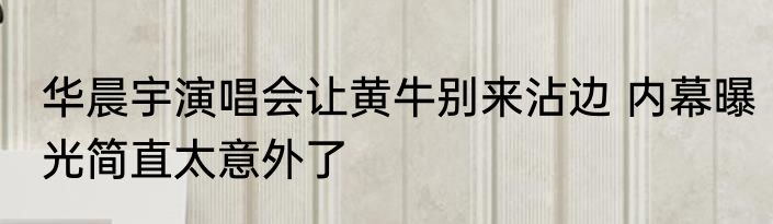 华晨宇演唱会让黄牛别来沾边 内幕曝光简直太意外了