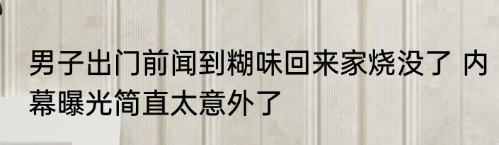 男子出门前闻到糊味回来家烧没了 内幕曝光简直太意外了