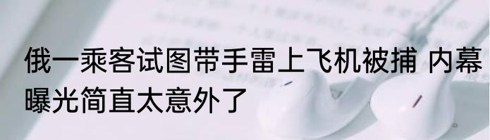 俄一乘客试图带手雷上飞机被捕 内幕曝光简直太意外了