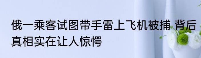 俄一乘客试图带手雷上飞机被捕 背后真相实在让人惊愕