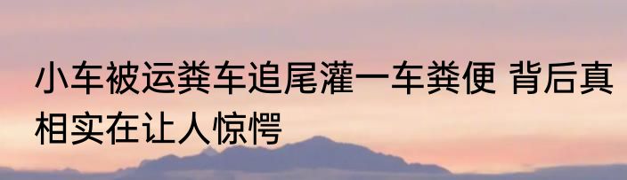 小车被运粪车追尾灌一车粪便 背后真相实在让人惊愕
