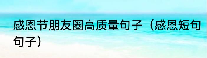 感恩节朋友圈高质量句子（感恩短句句子）