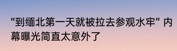 “到缅北第一天就被拉去参观水牢” 内幕曝光简直太意外了