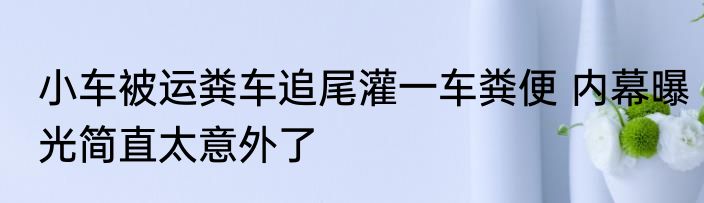 小车被运粪车追尾灌一车粪便 内幕曝光简直太意外了