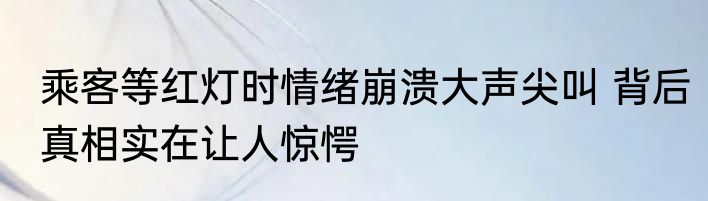 乘客等红灯时情绪崩溃大声尖叫 背后真相实在让人惊愕