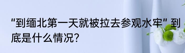“到缅北第一天就被拉去参观水牢” 到底是什么情况？