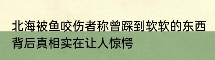 北海被鱼咬伤者称曾踩到软软的东西 背后真相实在让人惊愕
