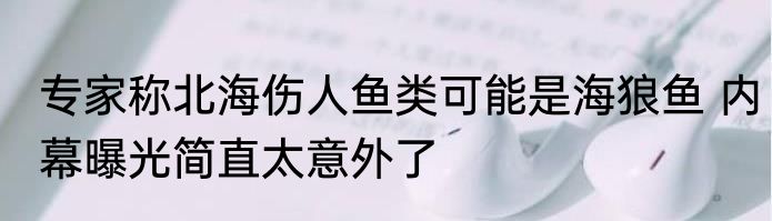 专家称北海伤人鱼类可能是海狼鱼 内幕曝光简直太意外了