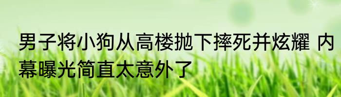男子将小狗从高楼抛下摔死并炫耀 内幕曝光简直太意外了