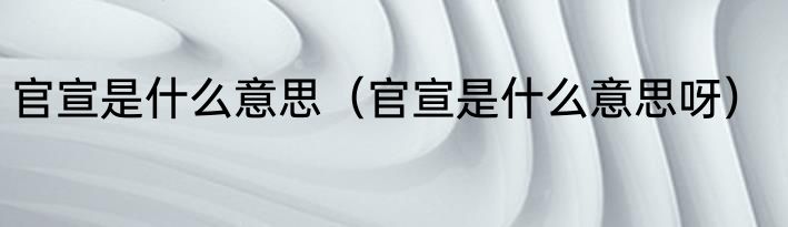 官宣是什么意思（官宣是什么意思呀）